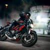 MT-07-Moto-Cage_5