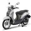Fino Line up Premium Green