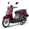 Fino Line up Premium Red