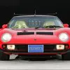 Labmoghini-Miura 4