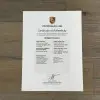 Porsche 911 1