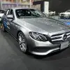 DSCF1554