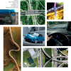 TNGA2