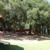 DSC00037