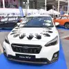 Subaru Palm 1