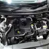 DSC07231