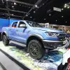 Raptor (5)