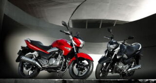 SUZUKI GW 250 Inazuma Naked