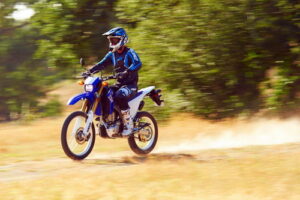 YAMAHA WR 250 R