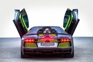 Hamann เปิดตัวชุดแต่ง "Lamborghini Aventador" สีเจ็บได้ใจ