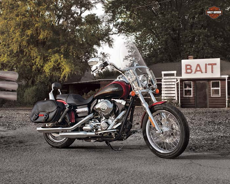 Harley ford super glide #8