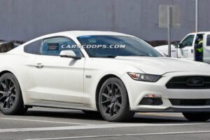 รถแบบ 2015 Ford Mustang เตรียมเปิดตัวชุดแต่งฉลองครบรอบ 50 ปีในงาน NY Auto Show