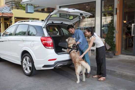 CHEVROLET แนะนำเคล็ดลับการเดินทางพร้อมสัตว์เลี้ยง