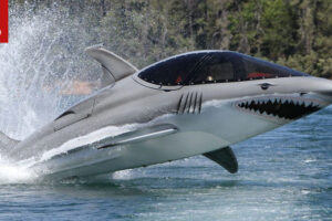 ทำความรู้จัก "Seabreacher" สุดยอดปลาโลมาจำลอง
