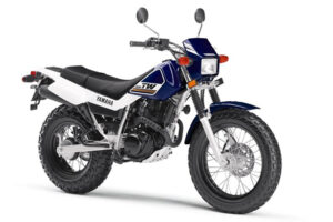 YAMAHA TW 200 2017 "เน้นเท่ ไม่เน้นแรง"