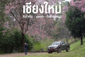 นอน Camping เห็นวิวเทือกเขาเชียงดาว และไปต่อ บูเดอช่า โฮมสเตย์ดาวล้านดวง #ทริปขับรถเที่ยวเชียงใหม่