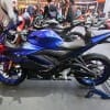 YAMAHA R3 (3)