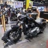 Fat Bob (2)