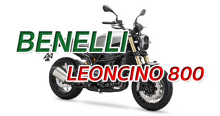 BENELLI LEONCINO 800