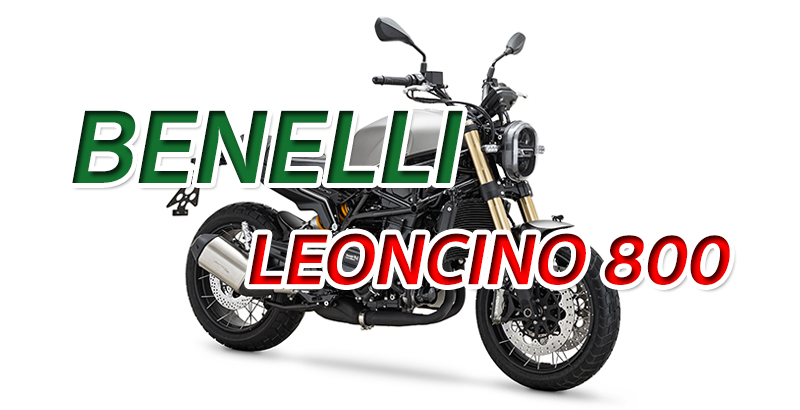 BENELLI LEONCINO 800