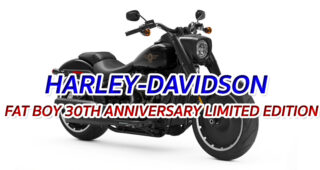 HARLEY-DAVIDSON FAT BOY 30TH ANNIVERSARY LIMITED EDITION