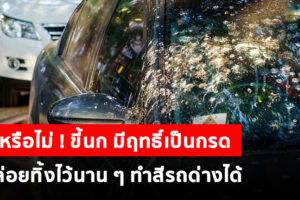 รู้หรือไม่ ! ขี้นก มีฤทธิ์เป็นกรด ปล่อยทิ้งไว้นาน ๆ ทำให้สีรถด่าง มาดูวิธีการป้องกันและดูแลกัน