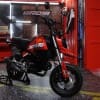 New Honda Grom
