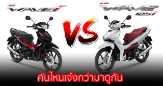 รีวิว เปรียบเทียบ 2023 Honda Wave 110i VS Honda Wave 125i ต่างกันอย่างไร