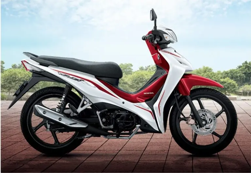 Simple Family Pet Care Template In Germany New Honda Wave 110i 